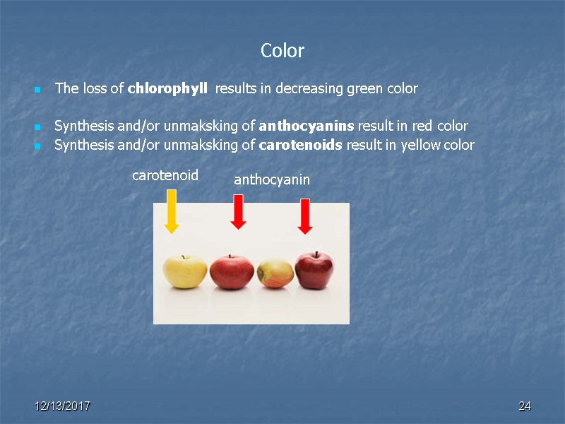 Color The loss of chlorophyll  results in decreasing green color  Synthesis and/or